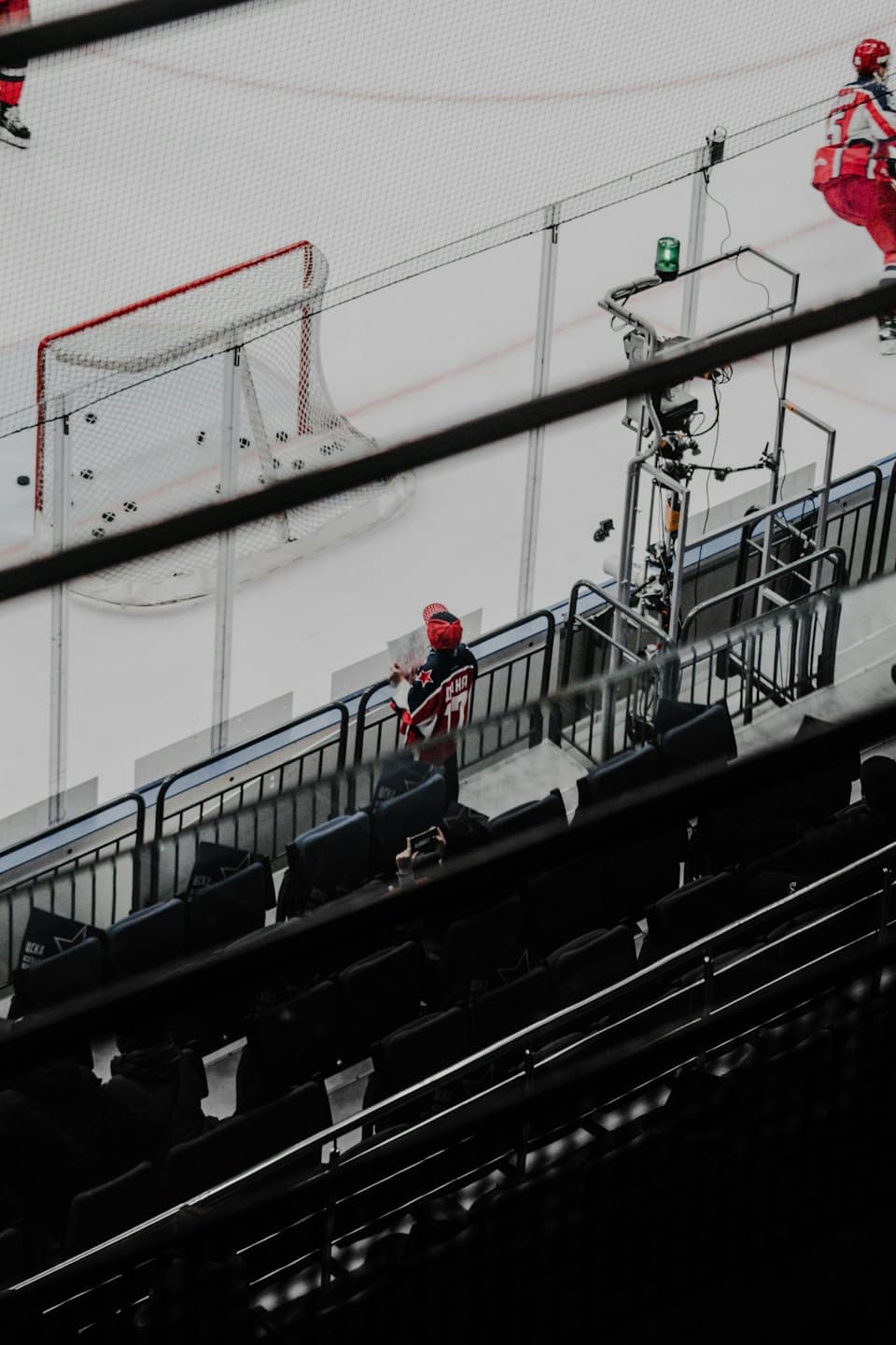 Fan in a hockey jersey watches the game from arena seats.